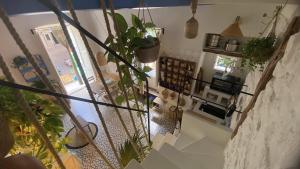 ai 4 alberi - casa bazar