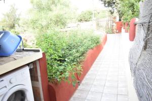 Villino Venere - Villa Venere img5