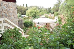 Villino Venere - Villa Venere img6