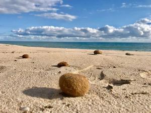 Villino Venere - Villa Venere img14