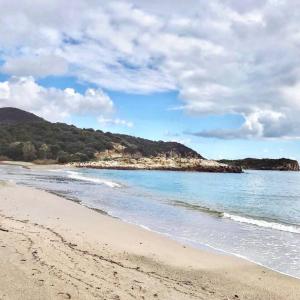 Villino Venere - Villa Venere img31