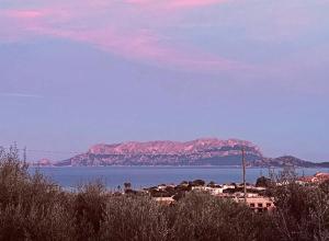 Bellavista Vacation img32