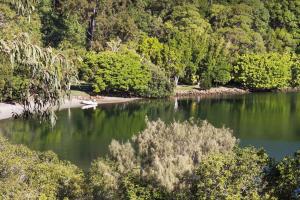 Rare Elegance on Hastings st