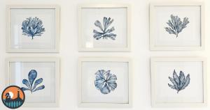 Cala Marielo San Alvaro Surf House