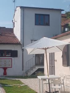 Le Margotte-Roma