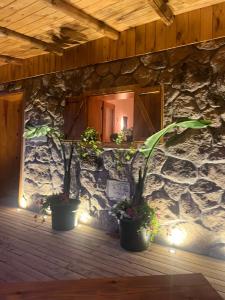 La Posada de Botavara