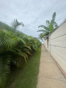 Entire apartment in Playa Dorada