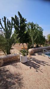 Villa Riad Ahlam