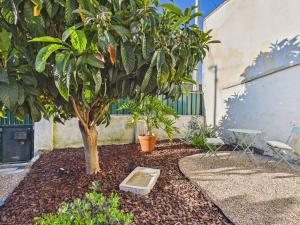 Cozy 1BR w AC, Terrace & Shared Garden – Almada | By Airnest