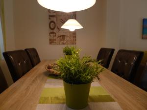 Excellent Villa Halkidiki Greece