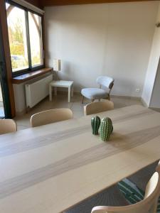 Très belle villa - duplex entre dune et mer - Malo les Bains
