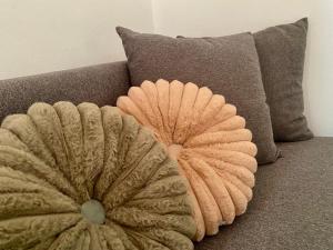 Petit Maison Saturnia