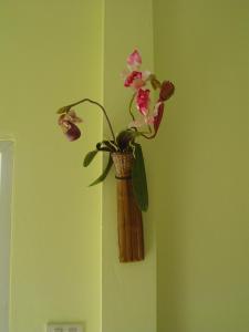 Mini-golf **** & Resort Ubon Ratchathani