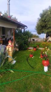 Paleros vacation