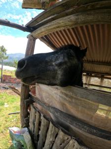 Habitación cama Queen baño privado