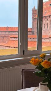 10 METRÓW OD ZAMKU Malbork