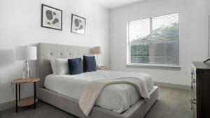 Landing Modern 1BD in Montopolis