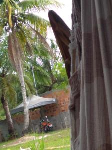 Acampamento Dos Frangos