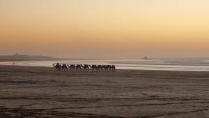 Essaouira Beachlife Apartments