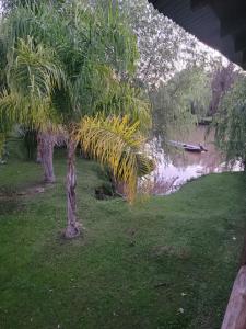 Isla Delta Tigre Buenos Aires