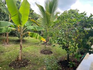 Villa Moderna con Piscina Privada