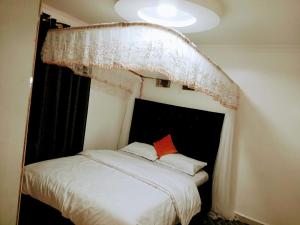 Cozy, modern one bedroom apartment