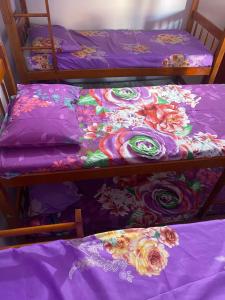 Hostel Namastê