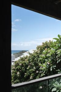 BAY PROPERTIES . Bridgewood