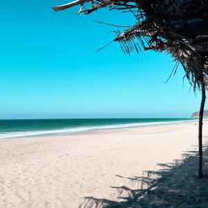 Your oasis of calm close to the beach