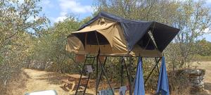 Tente Perchée Kenya MAS DE BOUZOU