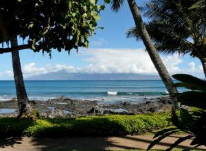 Napili Point Oceanfront Sunset Retreat - Unit A1 condo