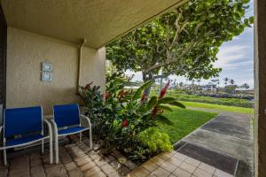 Oceanfront Condo Near Napili Bay 1BR - Unit A17 condo