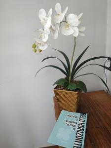 Centro Lourdes Próximo Mercado Central com garagem e ar condicionado