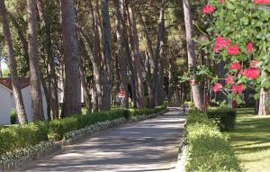 Gorgeous Apartment In Porec With Wifi