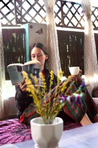 Flamingos Hostel Jaipur