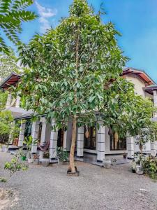 NRS Villa Midigama