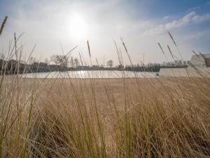 Apartment Knokke-Heist with Sea View