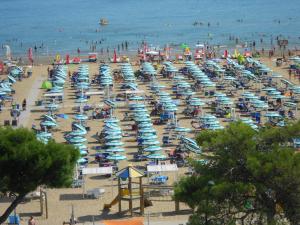 Appartamenti Vacanza Albatros