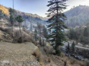 Seraj Himalyan View Homestay