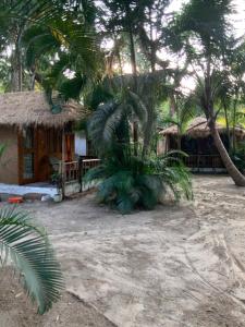 Yoga Culture Palolem