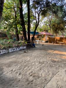 Yoga Culture Palolem