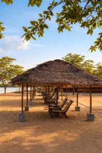 The Cove Pasikuda - Eco Retreat