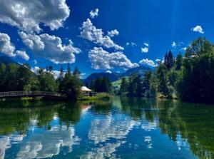 Private Lake Mini Villa near Gstaad & Interlaken