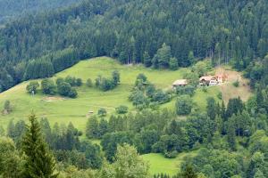 Tourist Farm Arbajter