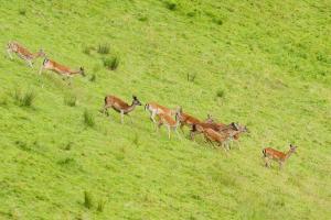 Tourist Farm Arbajter