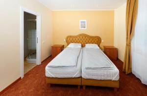 Pensiunea Floarea de Colt