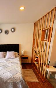Modern Private Loft Candelaria-Centro- Monserrate