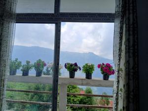 LuxeHaven Homestay