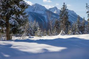 Ferienwohnung Haus Rieder Inzell