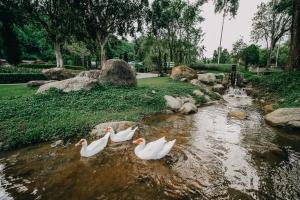 Flora Creek Chiang Mai